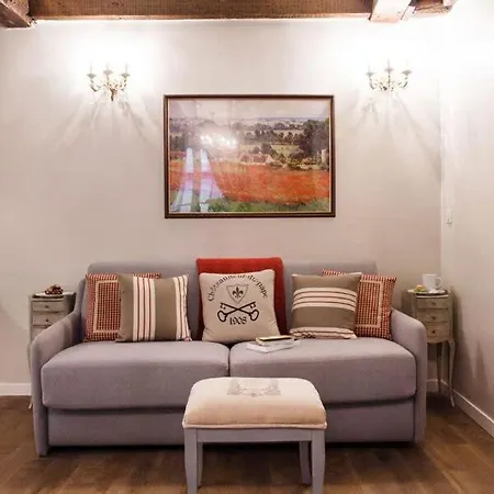 Le Merlot Du Marais Апартаменты